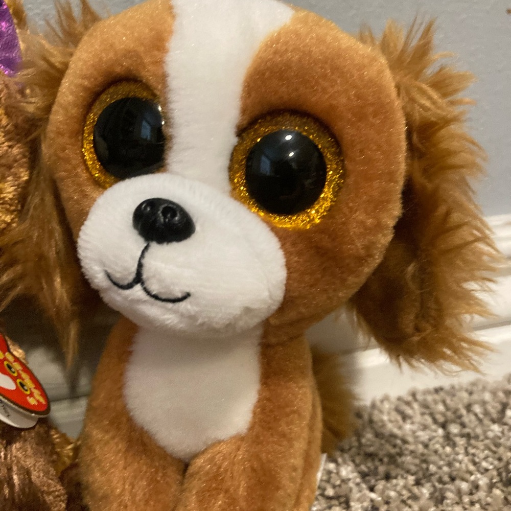 Beanie Boo Set - Picture 3 of 3